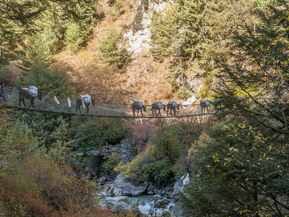Manaslu Circuit with Tsum Valley Trek