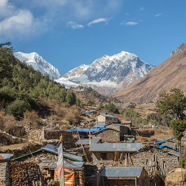 Manaslu Circuit with Tsum Valley Trek